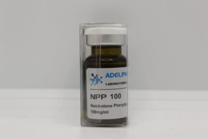 Adelphi NNP
